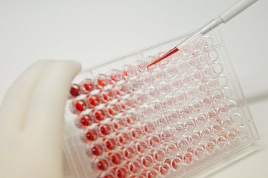 Miglior integratore contro raggi UV e stress ossidativo: criteri scientifici per valutarlo